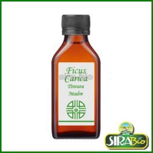 Ficus Carica Tintura Madre