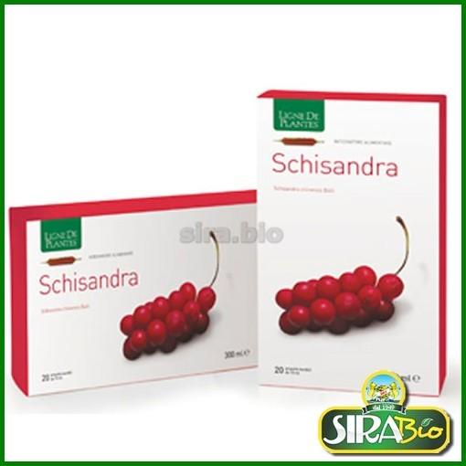 schisandra-20-ampolle-da-15-ml