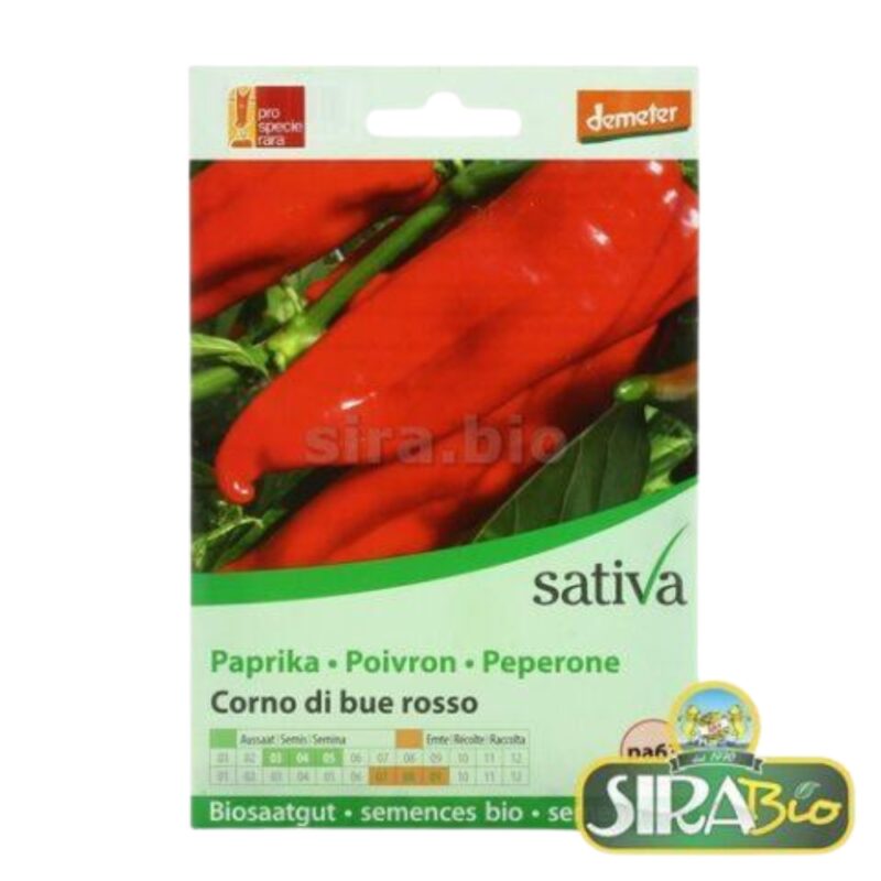 sementi-bio-di-peperone-corno-di-bue-rosso-25-semi-480x480