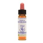 Healingherbs Star of Bethlem - Fiori di Bach - 10 ml